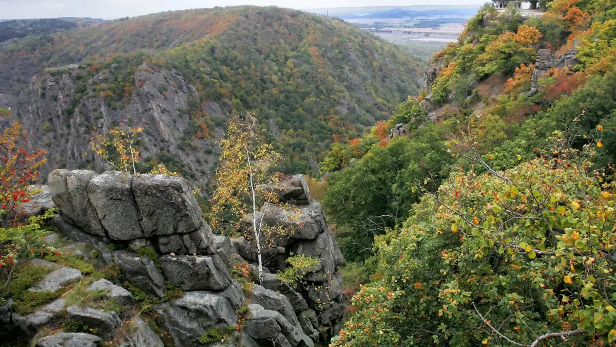 ARCHIV - Blick in das eingeschnittene Tal des Flusses Bode am nördlichen Harzrand bei Thale (Landkreis Quedlinburg, Foto vom 02.10.2006). Um 300 Meter überragen die legendären Felsen der Roßtrappe (l) und der des Hexentanzplatzes (r) den Hirschgrund. Der Nationalpark Harz ist zu Deutschlands schönstem Wald-Naturwunder gewählt worden. Zu diesem Ergebnis kommt eine Abstimmung im Internet, an der sich rund 8000 Menschen beteiligten. Der Harz hatte von 19 zur Wahl stehenden Waldgebieten mit rund 20 Prozent die meisten Stimmen erhalten. Foto: Jens Wolf dpa/lni/lah (zu lni 0255 und lah 4142 vom 14.09.2010) ++ +++ dpa-Bildfunk +++