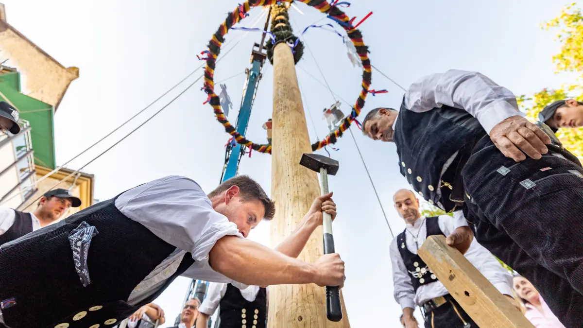 Dettingen Maibaumhock