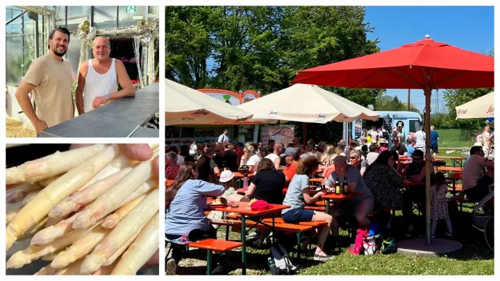 Spargelfest in der neuen Location in Ludwigsfeld