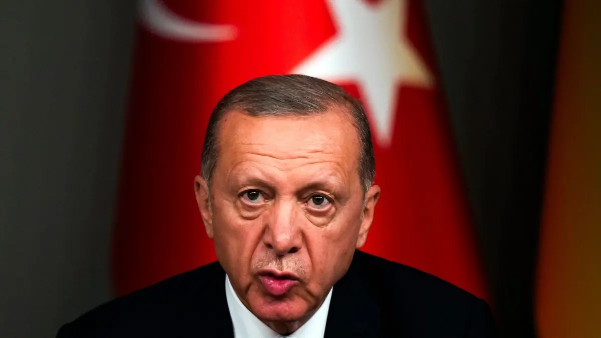 Journalist nach Erdogan-Beleidigung auf Heimweg nach Schweden