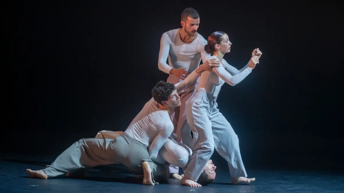 Theater Ulm: Vierte Ulmer Tanztheater-Benefizgala