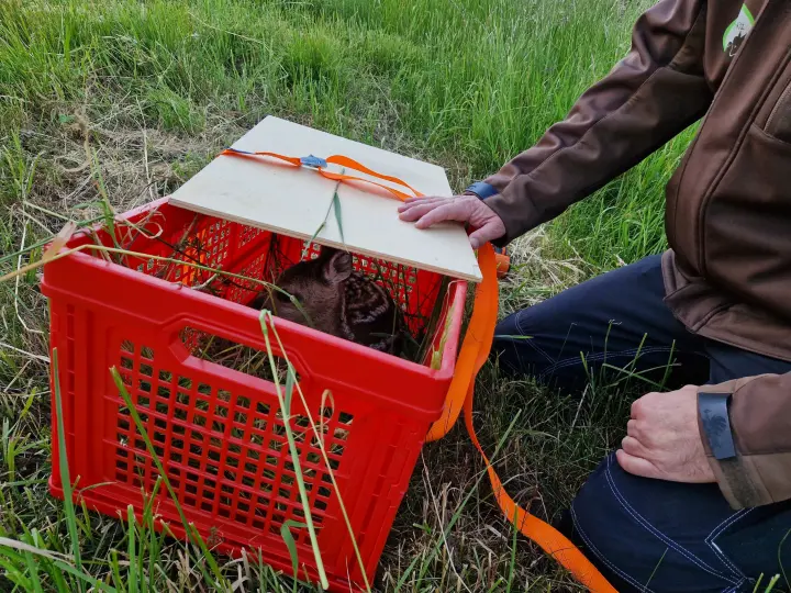 Mit den Rettern von „SchwabenKitz“ auf Bambi-Mission