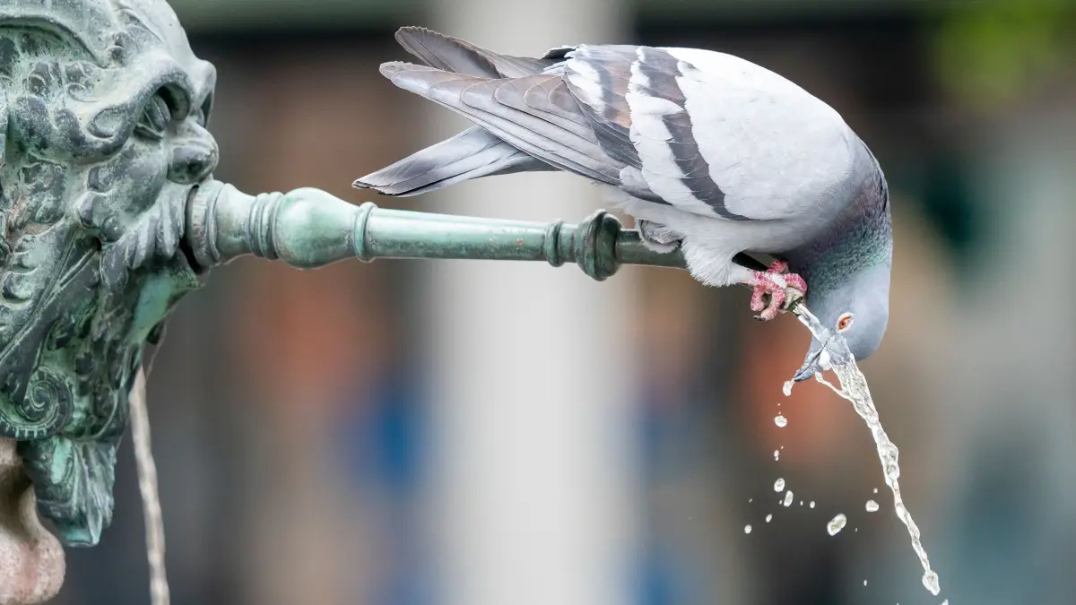 Ein kleiner Augenblick im Leben eines kleinen Lokalfotografen...