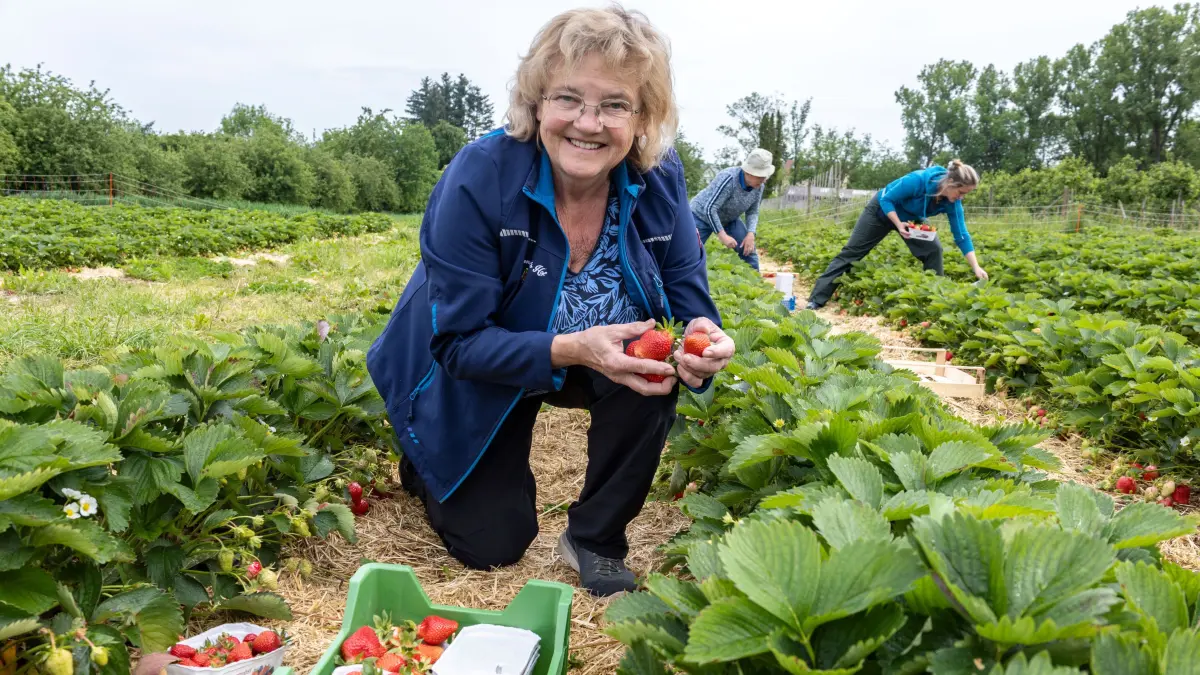 Schlat Erdbeeren Schulzenbauer's Hof Familie Müller Marianne Müller