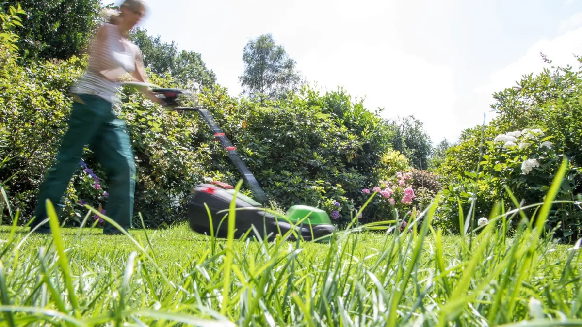 Eine Frau mäht einen Rasen: ILLUSTRATION - Kurz getrimmt oder dichtes Gras? Für Gartenliebhaber und Gartenliebhaberinnen sowie für Tiere hat es viele Vorteile, wenn seltener gemäht wird. (zu dpa: «Wie oft Rasen mähen im Sommer?») Foto: Christin Klose/dpa-mag - Honorarfrei nur für Bezieher des Dienstes dpa-Magazin +++ dpa-Magazin +++