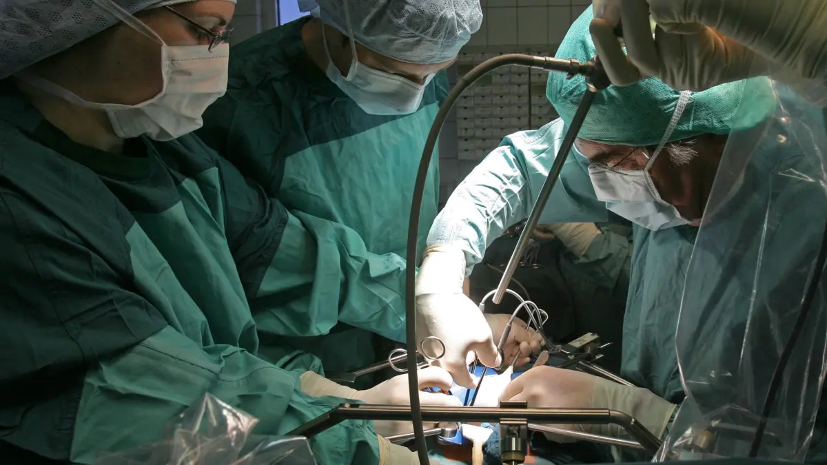 Organspende: ARCHIV - 15.11.2007, Thüringen, Jena: In der Klinik für Urologie am Universitätsklinikum wird bei einer Operation einem Spender eine Niere entnommen, die für eine Transplantation vorgesehen ist. (zu dpa: «277 Menschen in Thüringen warten auf Spenderorgan») Foto: Jan-Peter Kasper/dpa-Zentralbild/dpa +++ dpa-Bildfunk +++