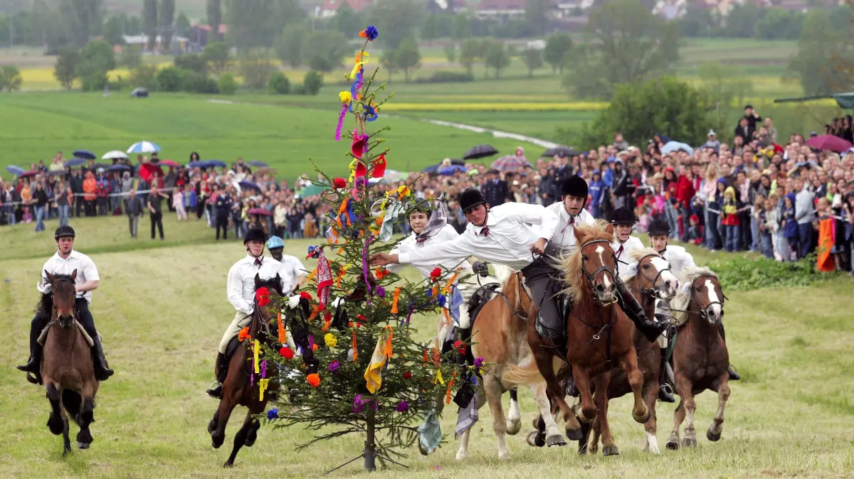 Reiten, Pfingstritt in Wurmlingen: Vorsicht: Dieses Foto ist möglicherweise nur für den einstigen Verlag Schwäbisches Tagblatt verwendbar. Wurmlingen, Pfingstritt 2005. Bild: Mozer
16-05-2005 / Bild: MOZER
