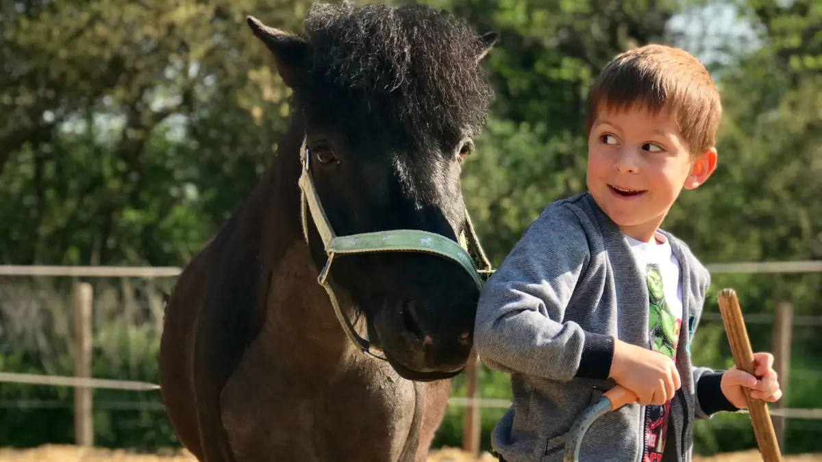 Ob wuscheliges Pony oder sportliches Pferd, die Tiere haben spezielle Bedürfnisse und der Umgang mit ihnen will gelernt sein. Reitschulen haben sich auf kleine und große Schüler einegrichtet.