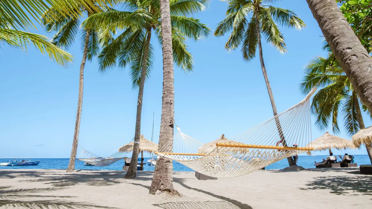 hammock with palm trees in a blue sky at the Caribbean St Lucia Island hammock with palm trees in a blue sky at the Cari: hammock with palm trees in a blue sky at the Caribbean St Lucia Island hammock with palm trees in a blue sky at the Caribbean St Lucia Island or Saint Lucia Copyright: xZoonar.com/FokkexBaarssenx 18968411 ,model released, Symbolfoto ,property released
