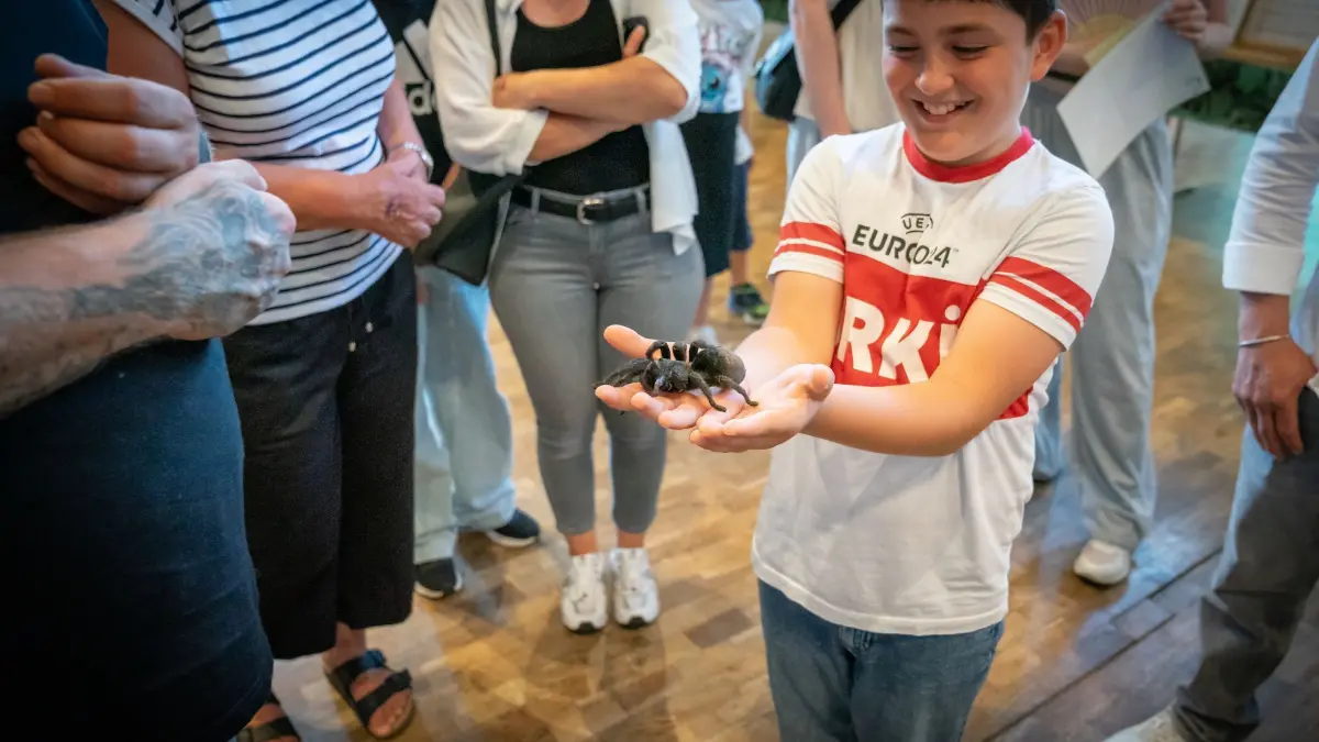 Die Schwarze Urugua-Vogelspinne Hildegard war das wohl prominenteste Spinnentier der Ausstellung. 16 Jahre hat sie bereits auf dem Buckel.
