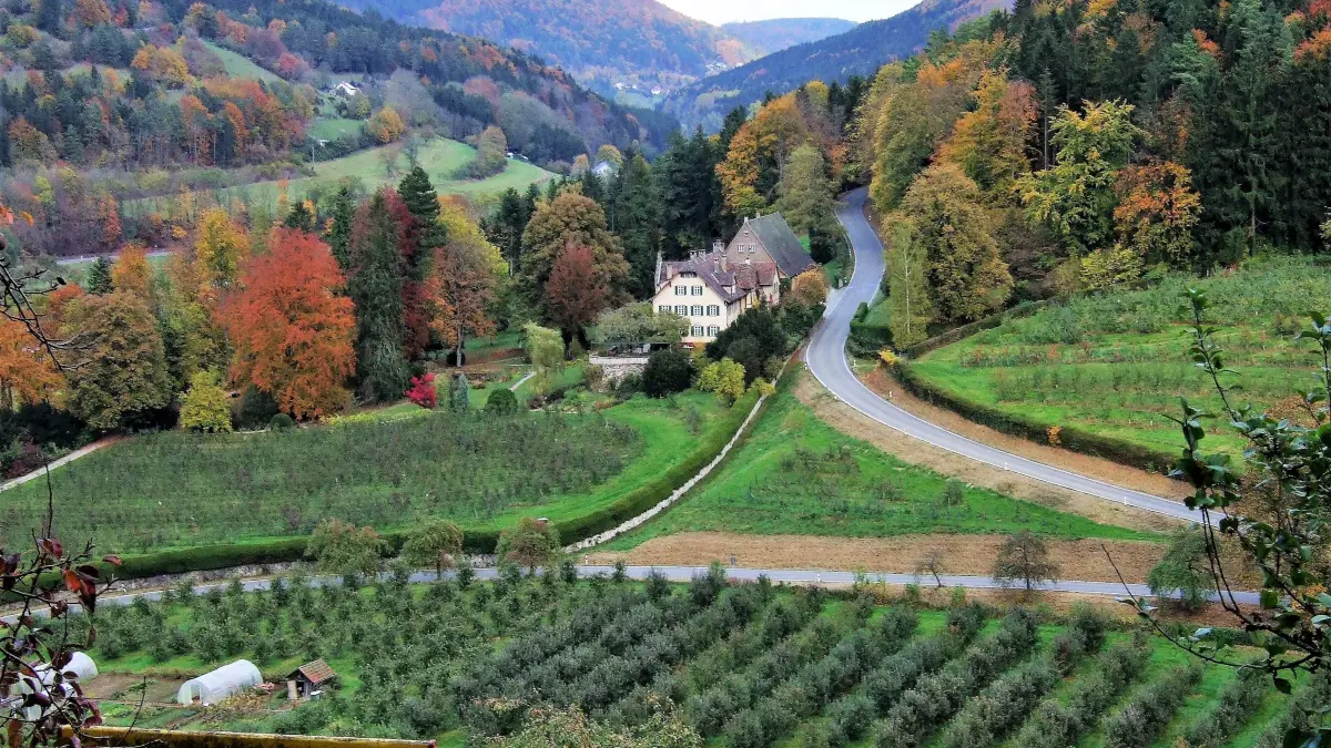 Das Duttenhofer'sches Apfelgut in Hopfau steht samt Ländereien und Gebäuden zum Verkauf.