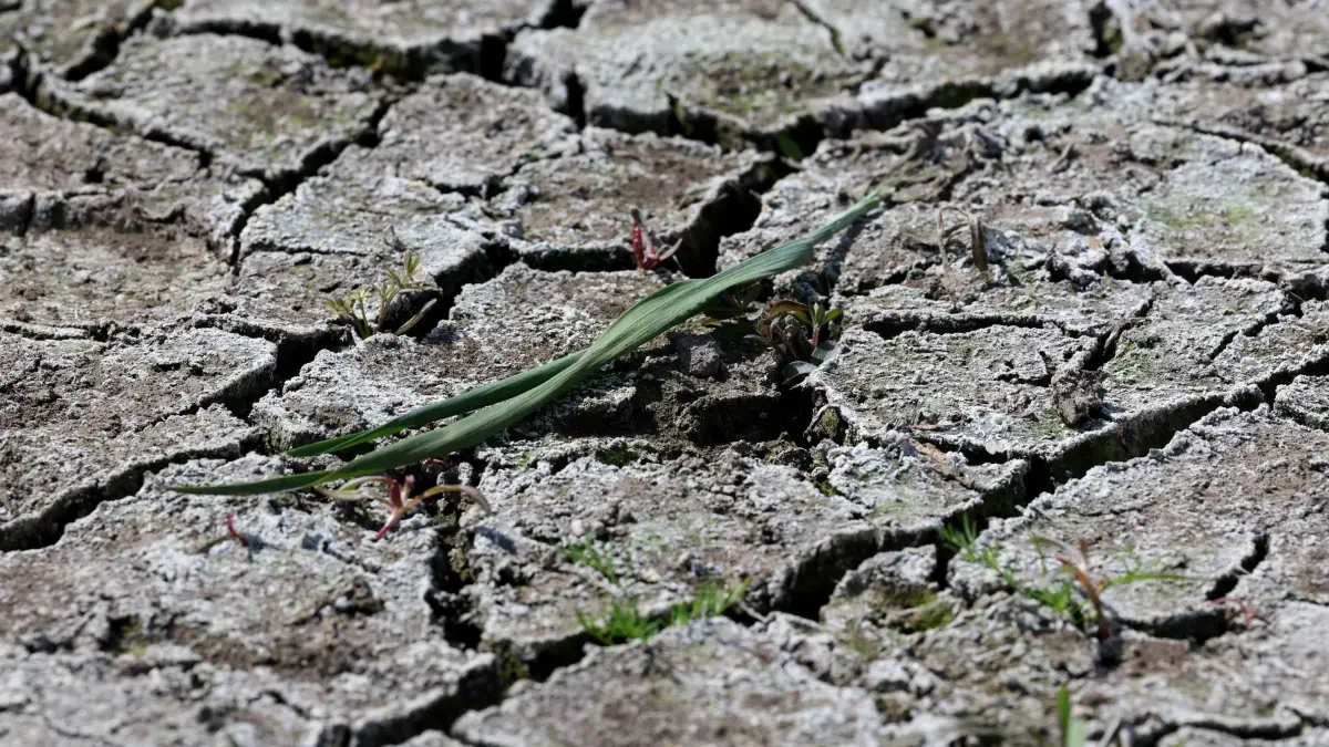 Drought in BW: This is how dry it is in your region right now
