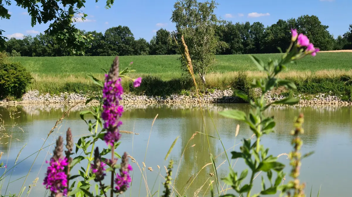 An diesem schön angelegten Fischteich bei Erkenbrechtshausen (Crailsheim) hat Werner Heiselbetz aus Ilshofen Ende Juni gerne eine Radelpause eingelegt. Am Ufer ist deutlich zu erkennen, wie der Wasserstand niedriger geworden ist.