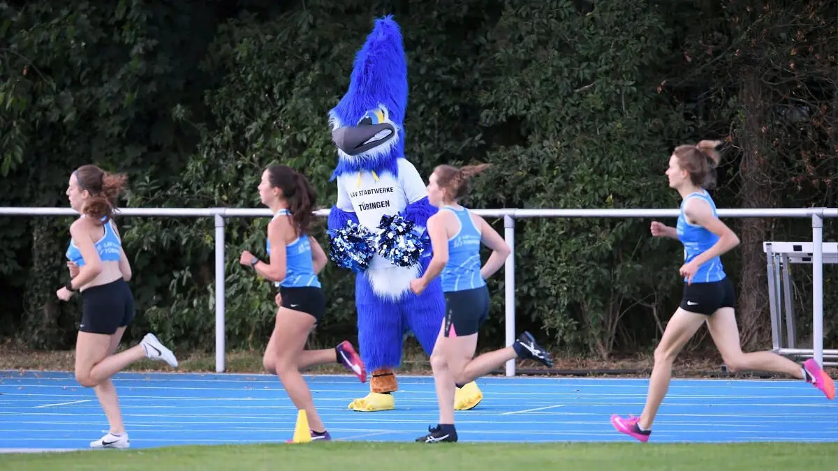 Vorsicht: Dieses Foto ist möglicherweise nur für den einstigen Verlag Schwäbisches Tagblatt verwendbar. Leichtathletik Tuebingen 11.07.2020
Meeting LAV Tuebingen und Friends; Das LAV Maskottchen feuert die Laeuferin des 1500 M Lauf an
FOTO: ULMER Pressebildagentur
xxNOxMODELxRELEASExx
