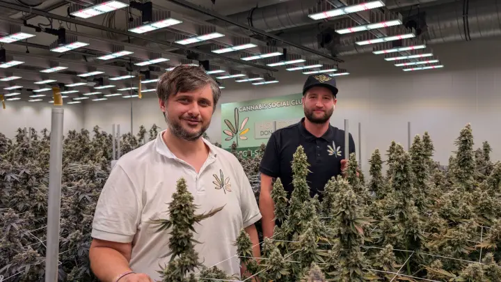 Cannabis-Club zieht positives Fazit, Staatsanwaltschaft Ulm nicht