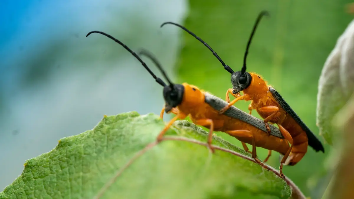 Ein kleiner Augenblick im Leben eines kleinen Lokalfotografen...