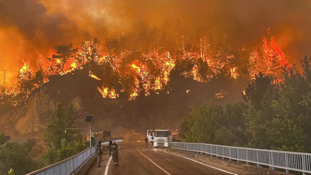 Brände in der Türkei: ARCHIV - 23.07.2025, Türkei, Cavuslar: Ein Waldbrand wütete im Juli in einem Waldgebiet in der Nähe des Dorfes Cavuslar im Bezirk Karabuk im Nordwesten der Türkei. (zu dpa: «Brände in Südeuropa und Türkei lassen nach - aber neue Hitze») Foto: Ridvan Bostanci/IHA/dpa +++ dpa-Bildfunk +++