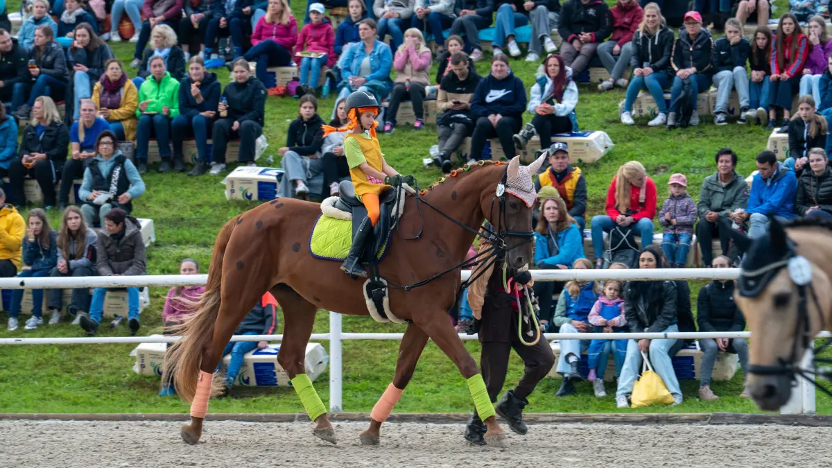 Donzdorf Birkhof Birkhoffestival