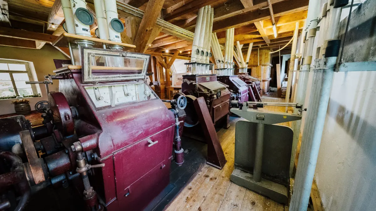 Die alte Mühlentechnik ist nach wie vor vorhanden. Jemand, der sich damit auskennt, könnte die Mühle als Liebhaberprojekt durchaus wieder in Betrieb nehmen, glaubt Achim Walter.