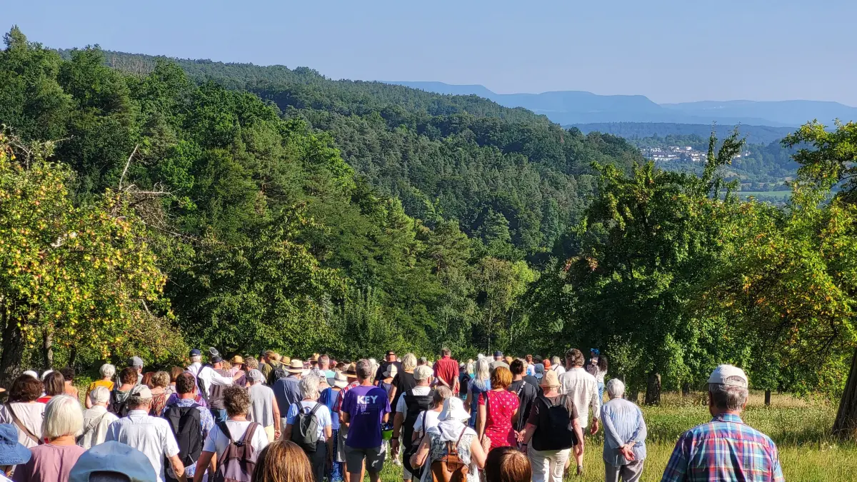 Rund 150 Menschen kam zur Kennen-Sie-Tübingen-Führung über die Streuobstwiesen in Hagelloch.