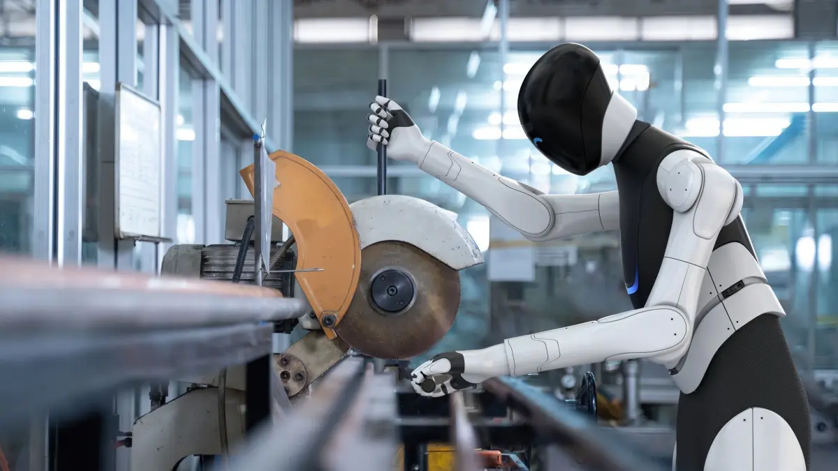 Humanoide Roboter: „Vision und Realität“