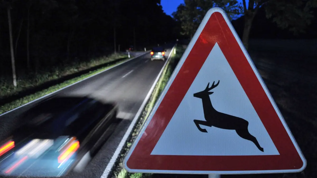 Achtung Wildwechsel: ARCHIV - 01.10.2010, Thüringen, Klettbach: 31.09.2010, Thüringen, Klettbach: Ein Verkehrsschild warnt vor Wildwechsel. (zu dpa: «19-Jähriger weicht Rehen aus - Auto überschlägt sich») Foto: Martin Schutt/dpa-Zentralbild/dpa +++ dpa-Bildfunk +++
