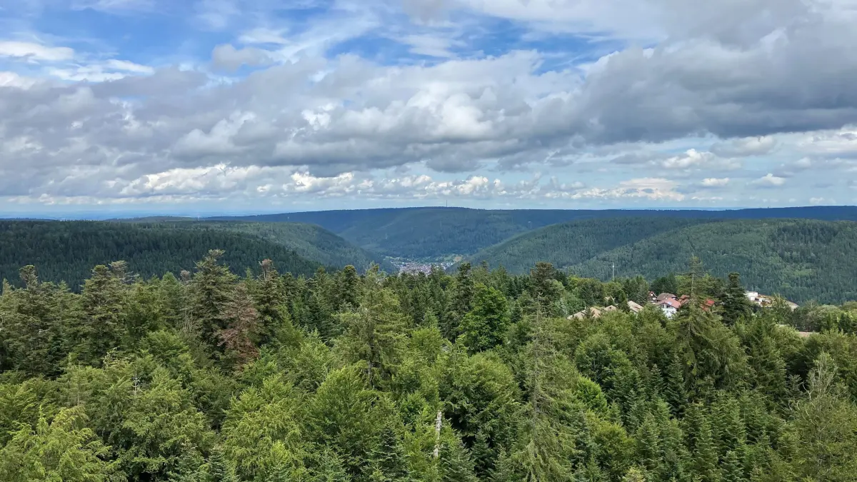 Blick über die Baumwipfel des Sommerbergs in Bad Wildbad. Im Hintergrund ist Calmbach, ein Stadtteil von Bad Wildbad, zu sehen. Wer im Schwarzwald unterwegs ist, sollte auf die Umwelt achten, auf Tiere Rücksicht nehmen und seinen Müll nach einer Picknickpause wieder einpacken. (zu dpa «Naturpark: Schwarzwald-Touristen im Umgang mit Natur sensibilisieren») +++ dpa-Bildfunk +++