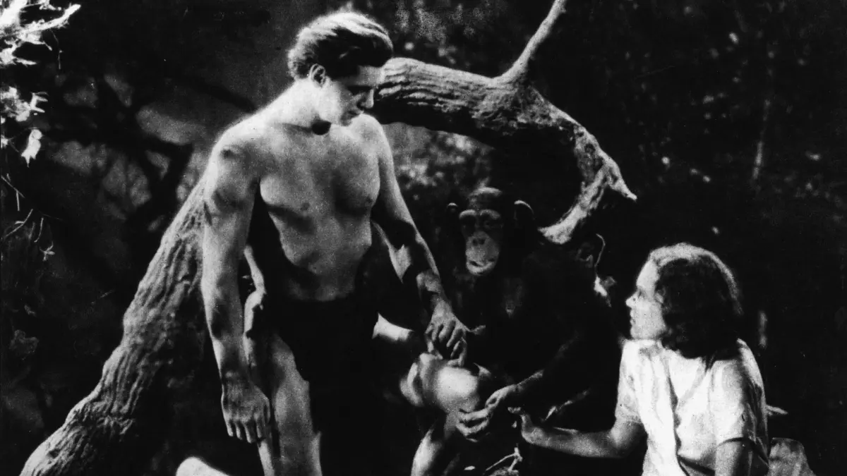 Johnny Weissmüller als Tarzan und Maureen O'Sullivan als Jane in dem Film "Tarzan der Affenmensch" (Tarzan the Ape Man; USA 1932; Regie: W.S. van Dyke nach Motiven aus den Büchern von Edgar Rice Burroughs). Der legendäre Dschungelheld Tarzan feiert am 27. August 2012 in irgendeinem Urwaldgebiet seinen 100sten Geburtstag. Erdacht hat ihn - lange bevor er in der Welt der Comics Fuß fasste - der amerikanische Autor Edgar Rice Burroughs. Sein erster Tarzan-Roman mit dem Titel "Tarzan bei den Affen" erschien am 27. August 1912 im Pulp Magazin "All-Story" in Fortsetzungen. Der sofort einsetzende Erfolg des Romanhelden sorgte dafür, dass Burroughs insgesamt 24 weitere Abenteuer seines Urwaldkönigs zu Papier brachte, die in über 60 Sprachen übersetzt wurden uund bis heute in einer Weltauflage von deutlich über 100 Millionen Exemplaren erschienen sind. Es dauerte nur sechs Jahre nach dem Erstlings-Tarzan, bis sich Hollywood erstmals auf den Stoff stürzte. Und seitdem hat der Siegeszug Tarzans durch sämtliche Medien bis heute nicht nachgelassen. Weltweit sind seit 1918 über 100 Filme mit dem Wort "Tarzan" im Titel gedreht worden. Die bekanntesten Schauspieler, die Tarzan mehrmals spielten, waren Johnny Weissmüller (Foto), der spätere Old Shatterhand-Darsteller Lex Barker und Gordon Scott, der der erste Farbfilm-Tarzan wurde. (Siehe epd-Feature vom 16.08.2012) EPD-Bild: 00278544