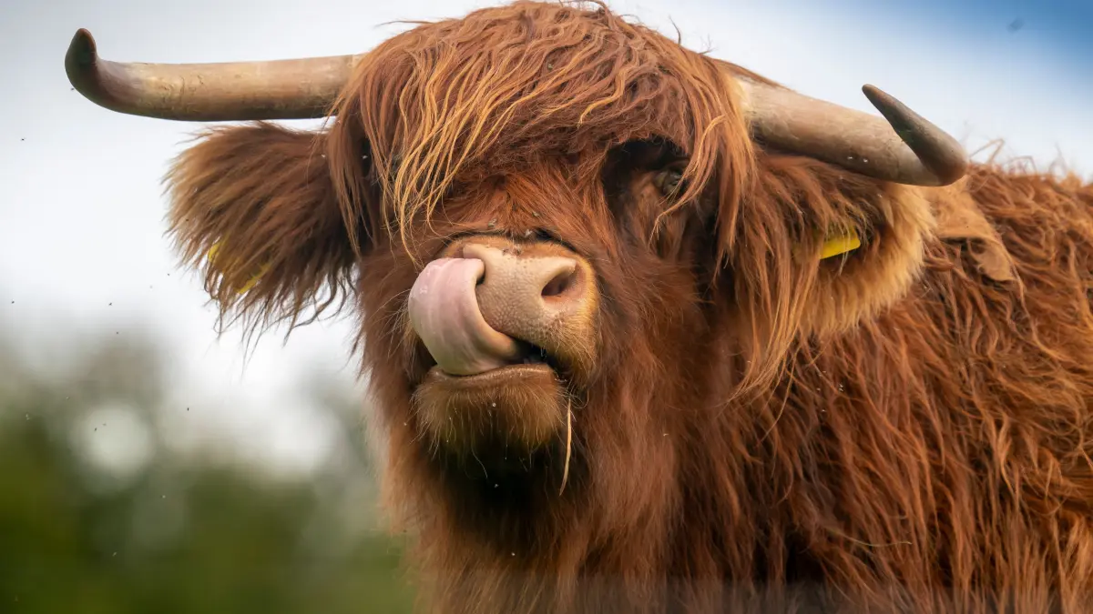 Ein kleiner Augenblick im Leben eines kleinen Lokalfotografen.