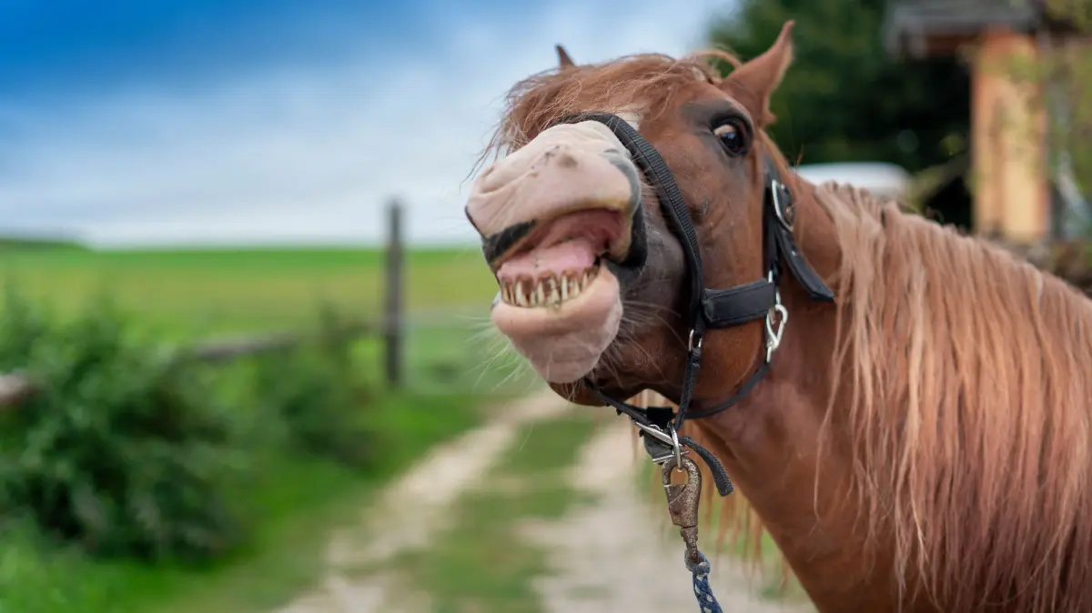 Ein kleiner Augenblick im Leben eines kleinen Lokalfotografen