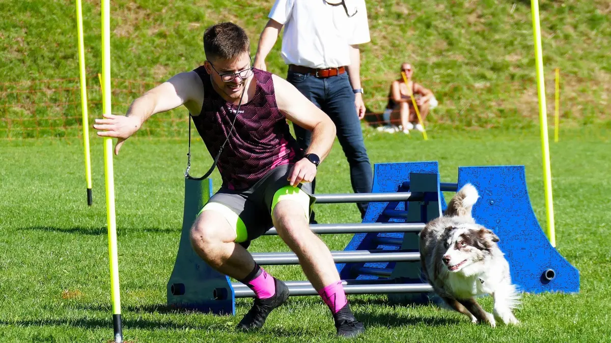Deutsche Meisterschaft im Turnierhundesport in Bitz