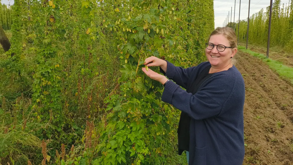 Mit der Qualität des Hopfens ist Katharina Haizmann sehr zufrieden