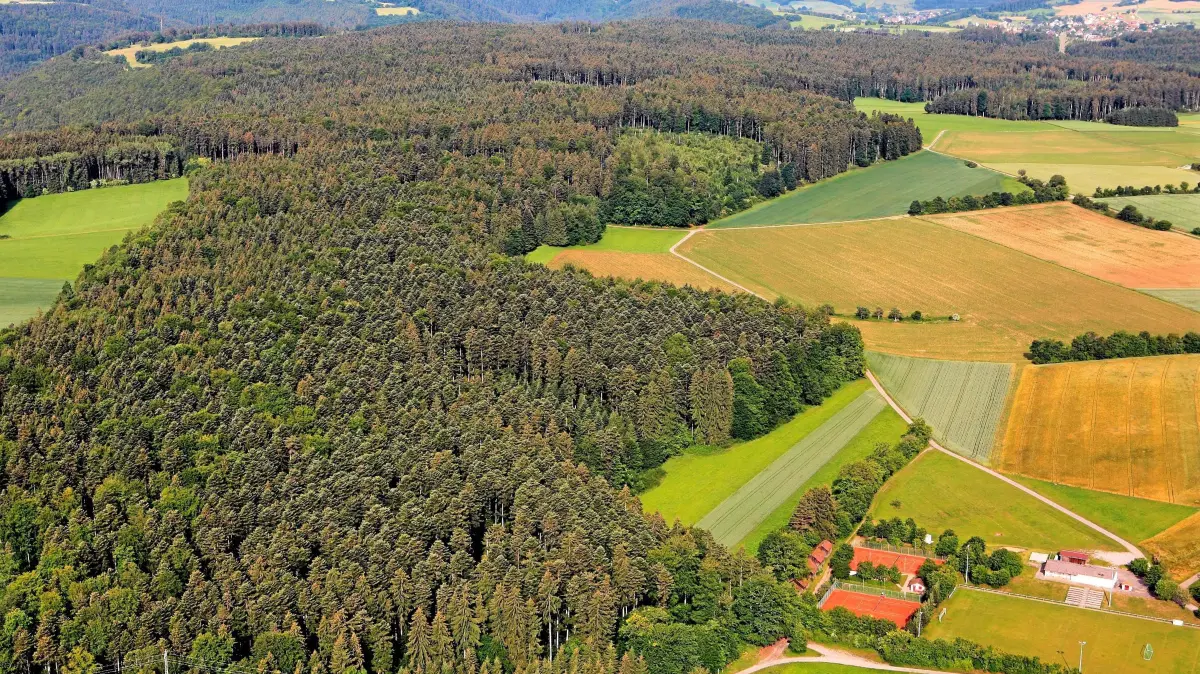 Großer Hau: Vorsicht: Dieses Foto ist möglicherweise nur für den einstigen Verlag Schwäbisches Tagblatt verwendbar. Waldgebiet Großer Hau Rexingen 21.6.2012.Luftbild:Karl-Heinz Kuball