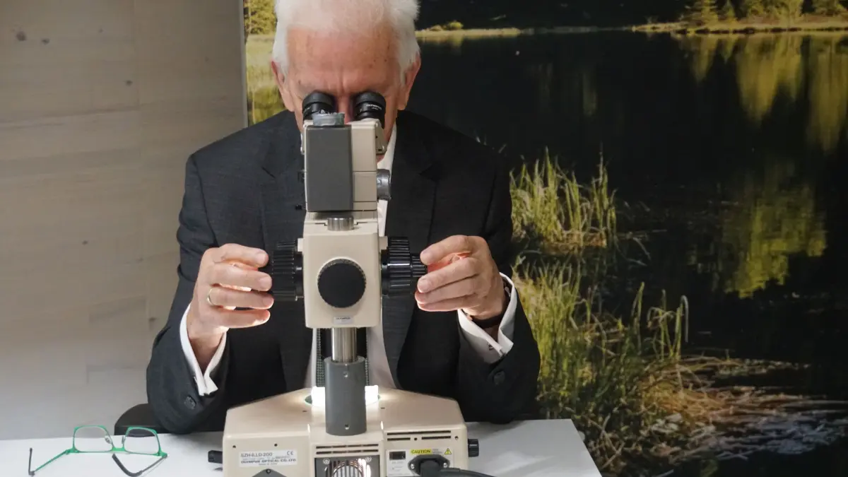 Am Mikroskop schaut Ministerpräsident Winfried Kretschmann, wie das nach ihm benannte Bärtierchen denn genau aussieht.