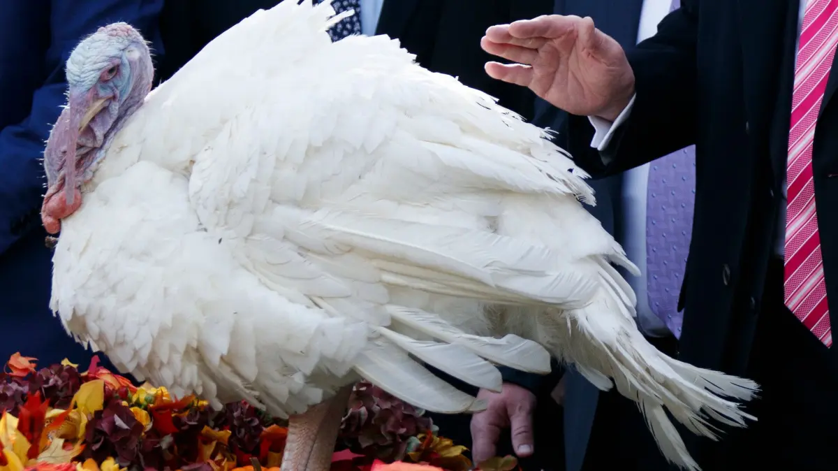 Am 23. November feiern die US-Amerikaner Thanksgiving. Alles rund um den Feiertag erfahrt ihr hier.