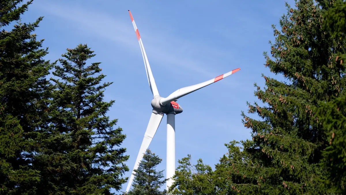 03.09.2025, Bayern, Berg: Ein Windrad ist während der Vorstellung von einem Pilotprojekt für die Begrünung von Windenergiestandorten zu sehen. In dem Projekt an zwei Windenergieanlagen soll die Möglichkeit zur Begrünung und ökologischen Aufwertung von Windenergiestandorten im Wald gezeigt werden. Foto: Sven Hoppe/dpa +++ dpa-Bildfunk +++