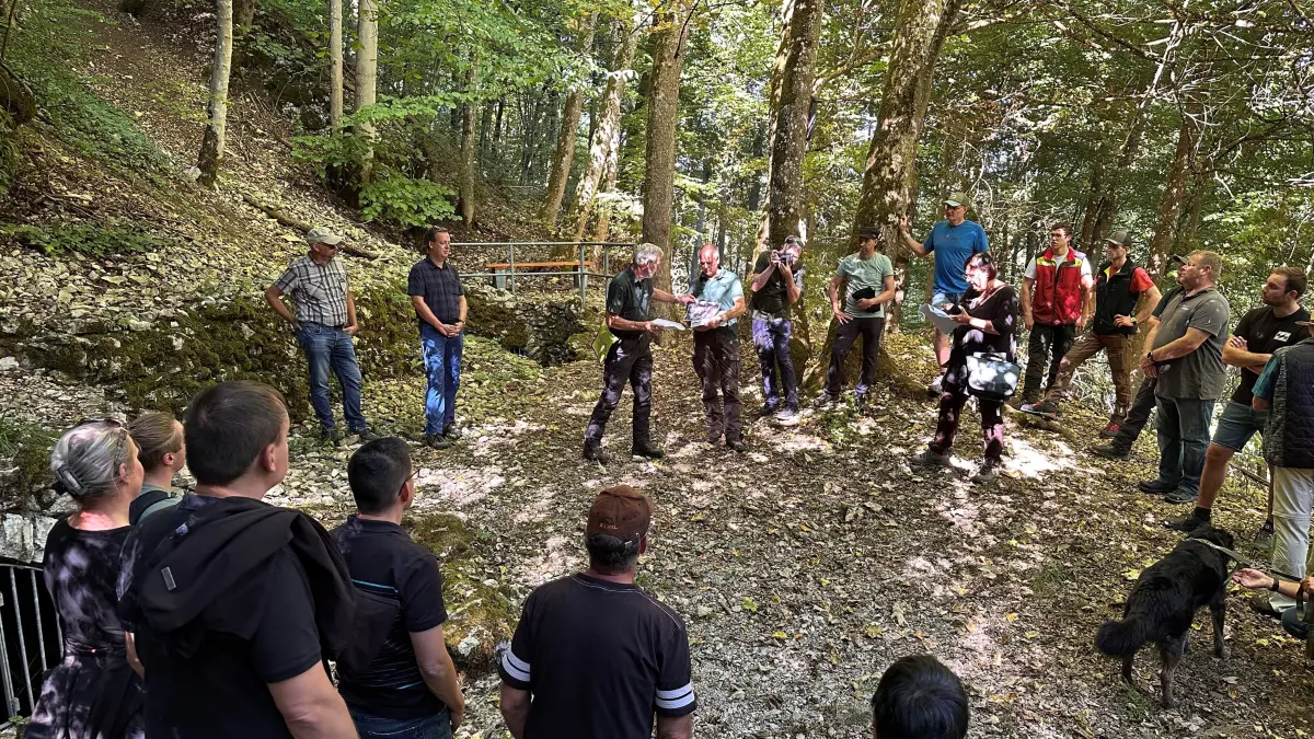 Beim Waldbegang in Meßstetten erfuhren die Teilnehmer wieder viele interessante Sachen zum heimischen Forst. Station eins war an der Brunnenhalde am Karl-Bohnenberger-Weg.