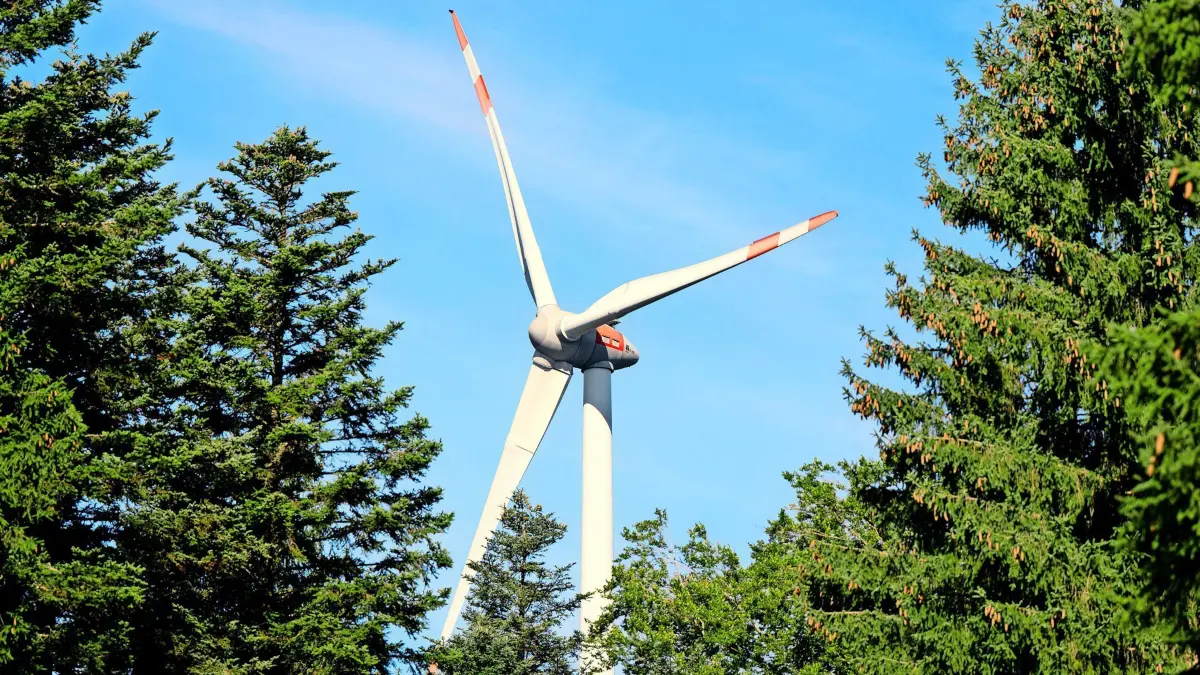 03.09.2025, Bayern, Berg: Ein Windrad ist während der Vorstellung von einem Pilotprojekt für die Begrünung von Windenergiestandorten zu sehen. In dem Projekt an zwei Windenergieanlagen soll die Möglichkeit zur Begrünung und ökologischen Aufwertung von Windenergiestandorten im Wald gezeigt werden. Foto: Sven Hoppe/dpa +++ dpa-Bildfunk +++