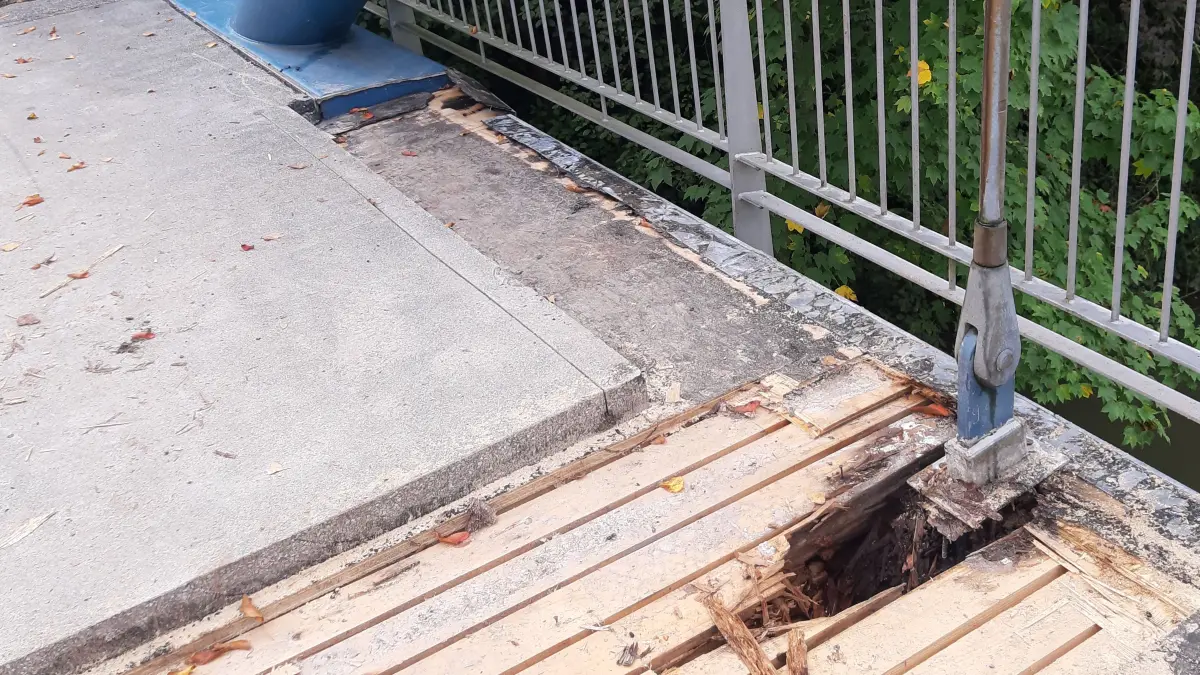 Angefaultes Holz an der Kiebinger Neckarbrücke