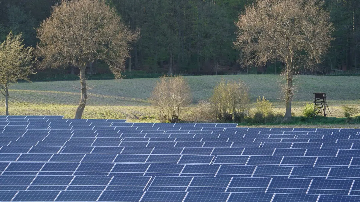 Solarpark: ARCHIV - 06.05.2021, Schleswig-Holstein, Dätgen: Photovoltaik-Anlagen stehen in einem Solarpark neben der Autobahn A7. (zu dpa: «Spatenstich für Solarpark - Flächen auch für Artenvielfalt») Foto: Marcus Brandt/dpa +++ dpa-Bildfunk +++