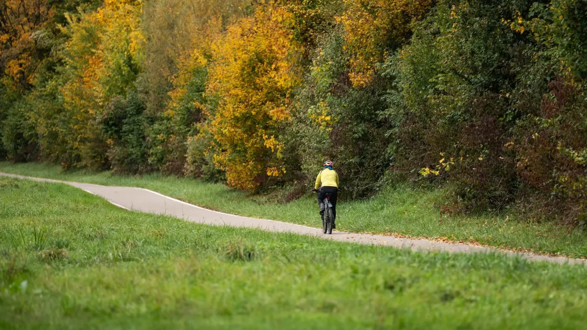 Herbst in Baden-Württemberg: 12.10.2025, Baden-Württemberg, Kirchentellinsfurt: Eine Fahrradfahrerin fährt mit ihrem Rad auf einem Radweg an herbstlich bunten Bäumen vorbei. Foto: Silas Stein/dpa +++ dpa-Bildfunk +++