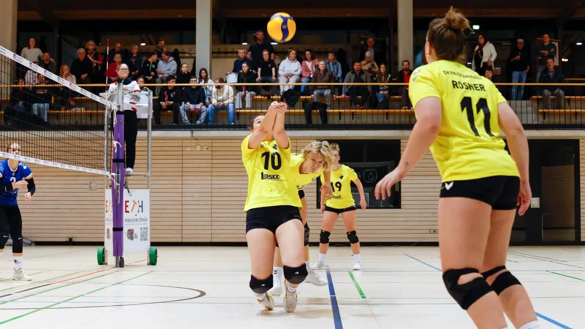 SV Frickenhofen - TG Biberach: Volleyball Oberliga Frauen SV Frickenhofen vs TG Biberach, 0:3
