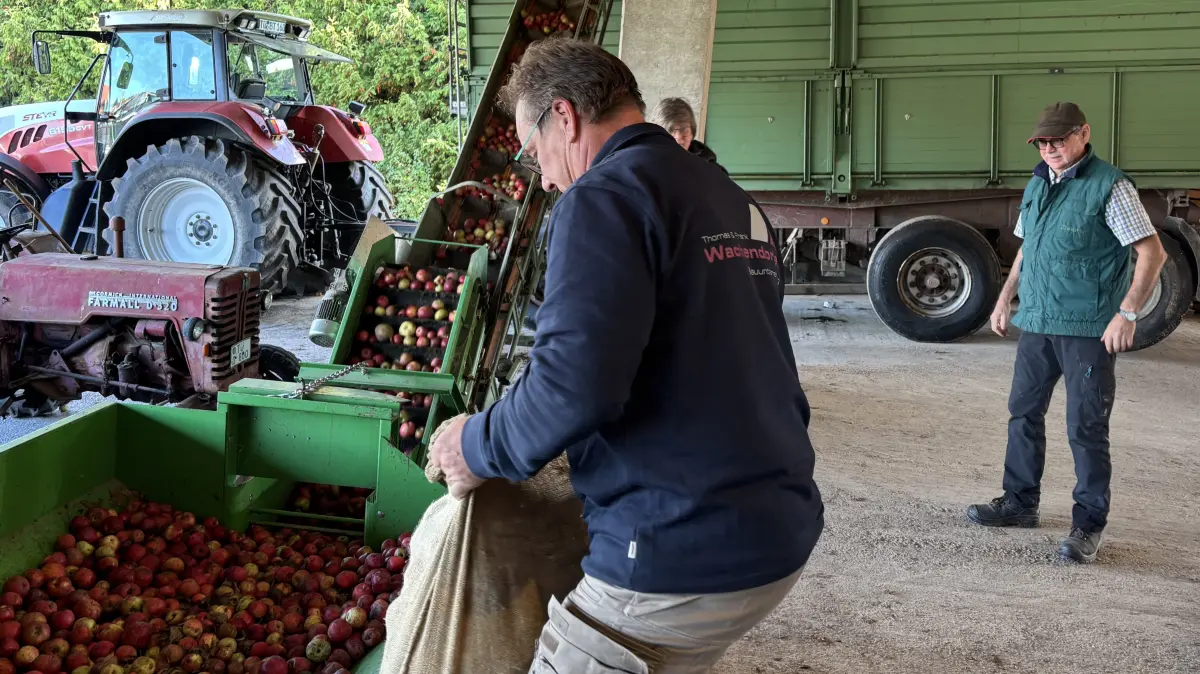 Obstannahme Betriebsgemeinschaft Braun Weilheim Äpfel Streuobst