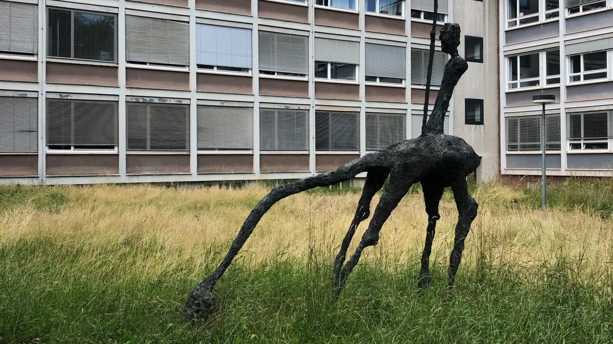 "Bunte Wiese" hinterm Hegelbau im Tübinger Uni-Viertel
