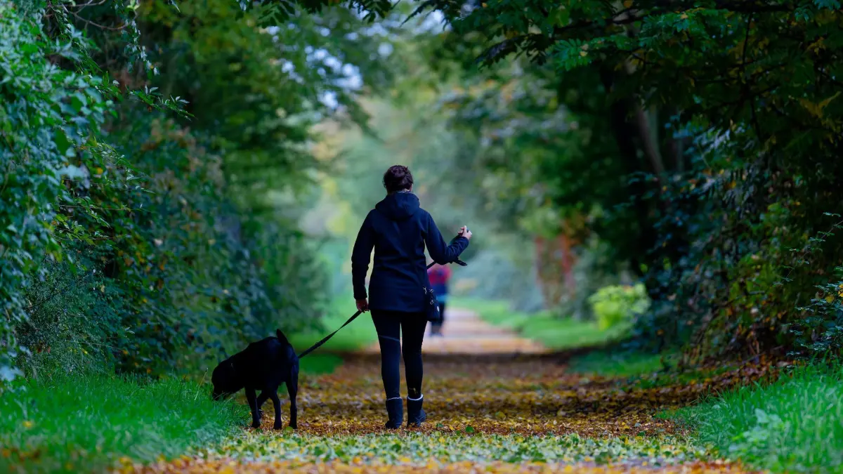 Wetter in Baden-Württemberg: 21.10.2025, Baden-Württemberg, Ladenburg: Eine Frau geht mit einem Hund über einen von Herbstblättern bedeckten Weg. Foto: Uwe Anspach/dpa +++ dpa-Bildfunk +++
