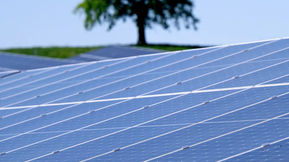 Die Sonne scheint auf einen Solarpark (Symbolbild) (zu dpa: «Solarpark Ohrdruf versorgt Haushalte mit Strom») +++ dpa-Bildfunk +++