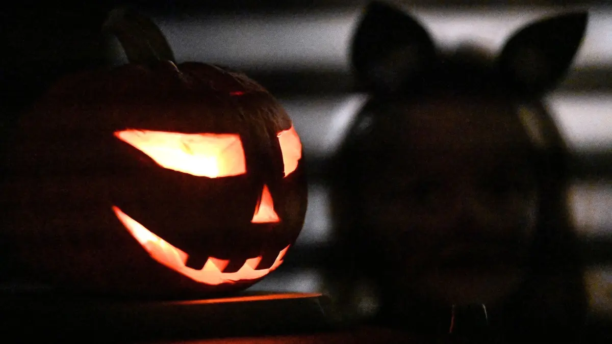 Halloween in Göttingen