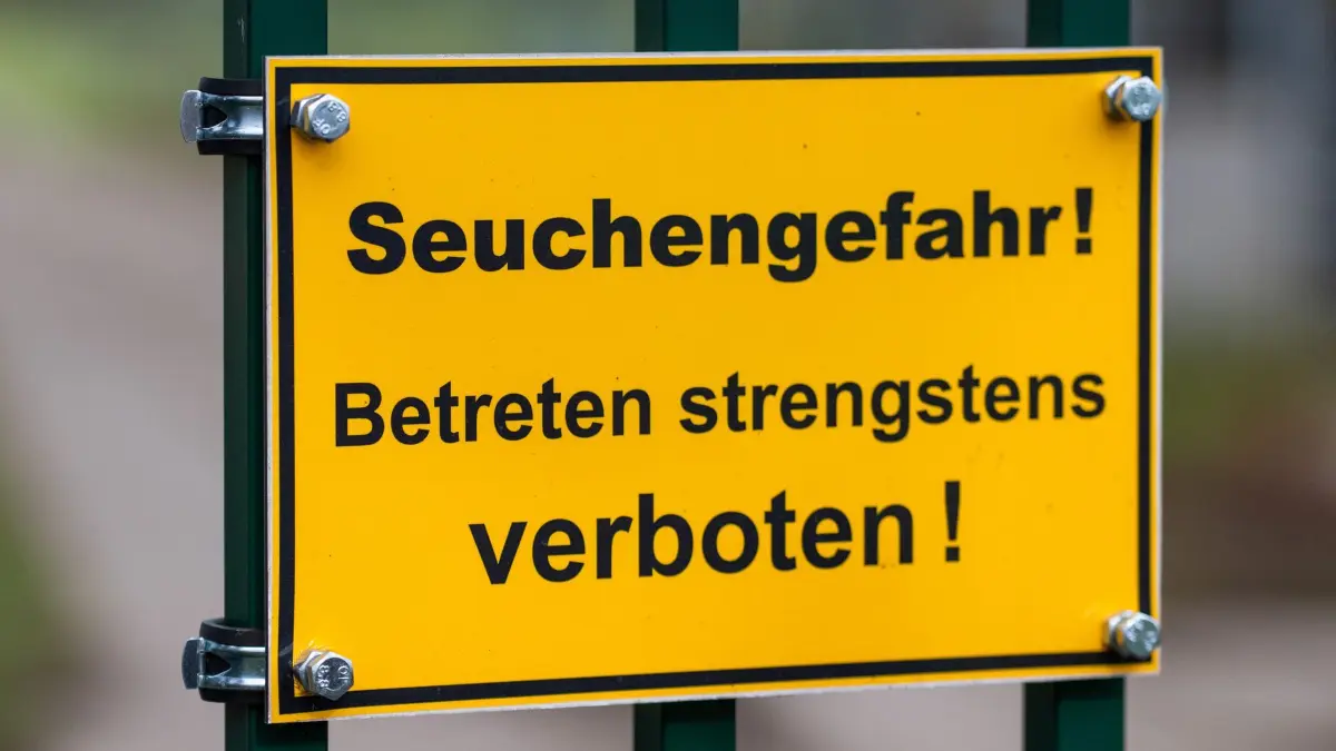 Vogelgrippe