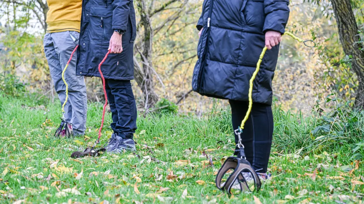 Hobby-Dogging - ein neuer Trend