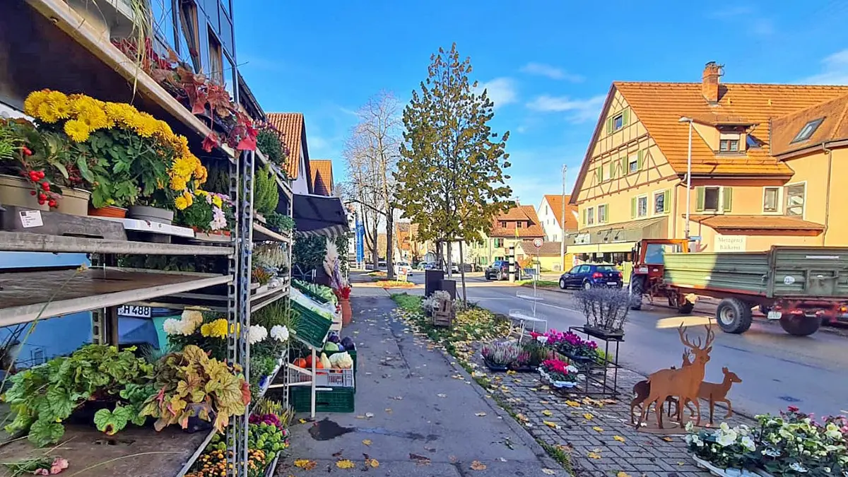 Blumenladen Hummelwiese und gegenüber die Metzgerei Schaich an der Ortsdurchfahrt Hirschau (L371)